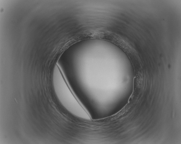 X0000083600748200702090906