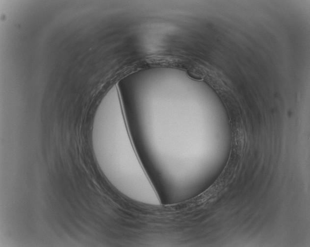 X0000083600751200702090906