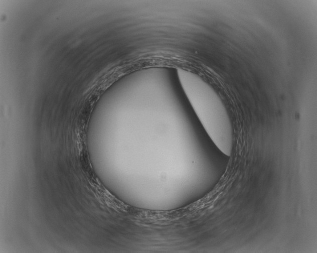 X0000083600774200702090905