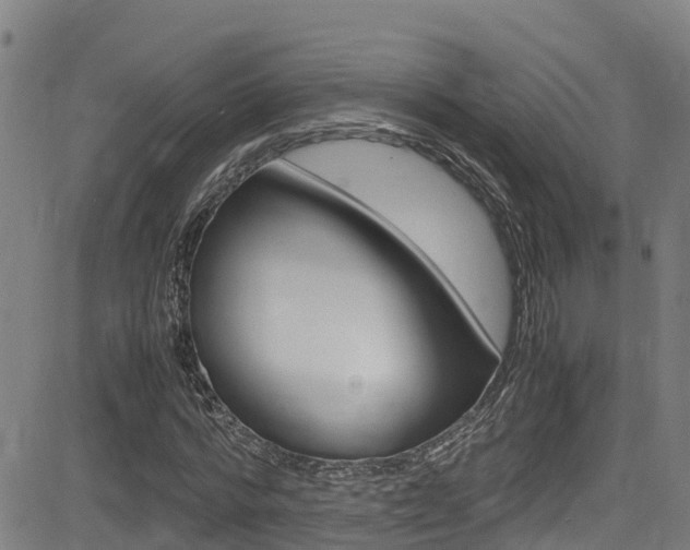 X0000083600776200702090905