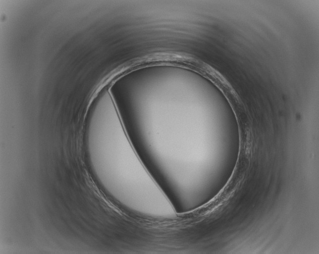 X0000083600786200702090905