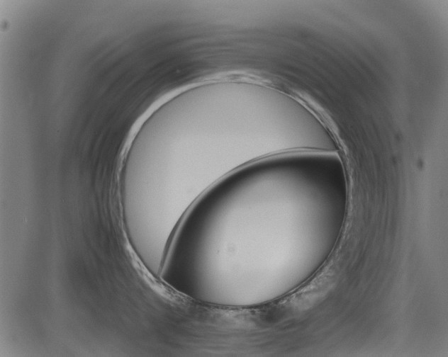 X0000083600816200702090905