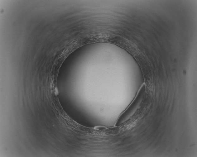 X0000083600818200702090904
