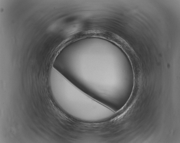 X0000083600825200702090904