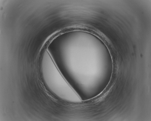 X0000083600830200702090904