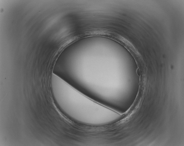 X0000083600841200702090904