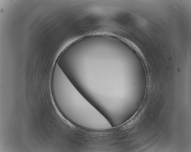 X0000083600847200702090904