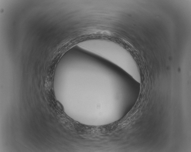 X0000083600869200702090904
