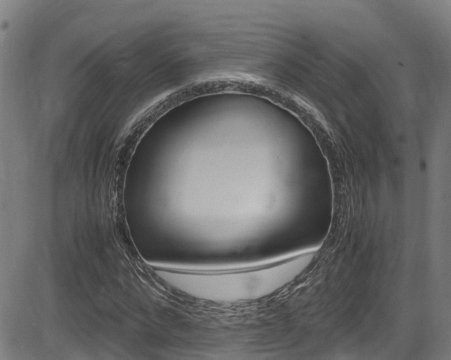 X0000083600872200702090904