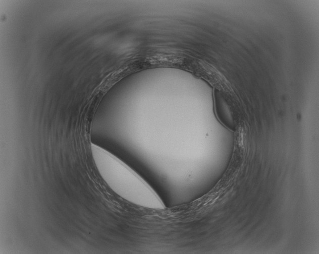 X0000083600915200702090902