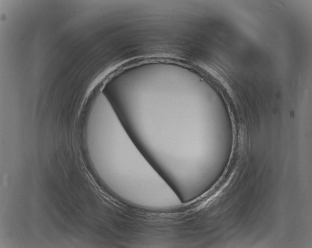 X0000083600925200702090903