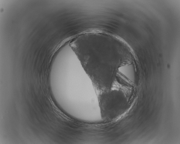 X0000083600929200702090903