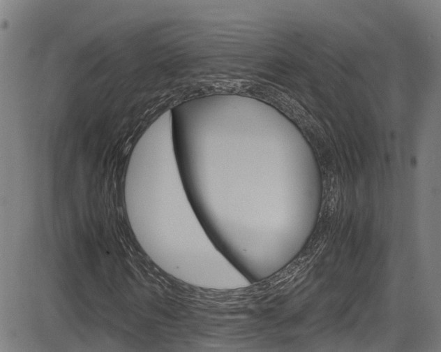 X0000083600962200702090902