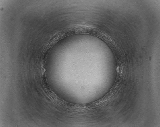 X0000083600964200702090902