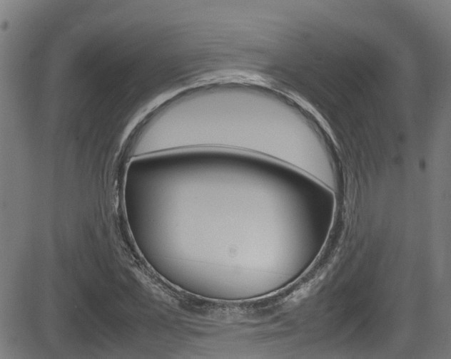 X0000083600973200702090902