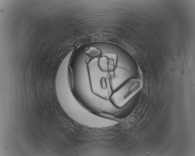 X0000083601010200702090901