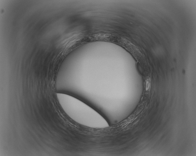 X0000083601011200702090901