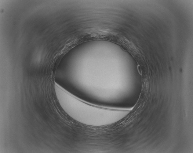 X0000083601012200702090901
