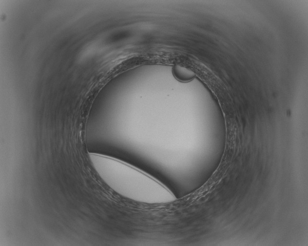 X0000083601013200702090901