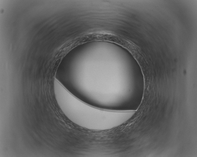 X0000083601014200702090901