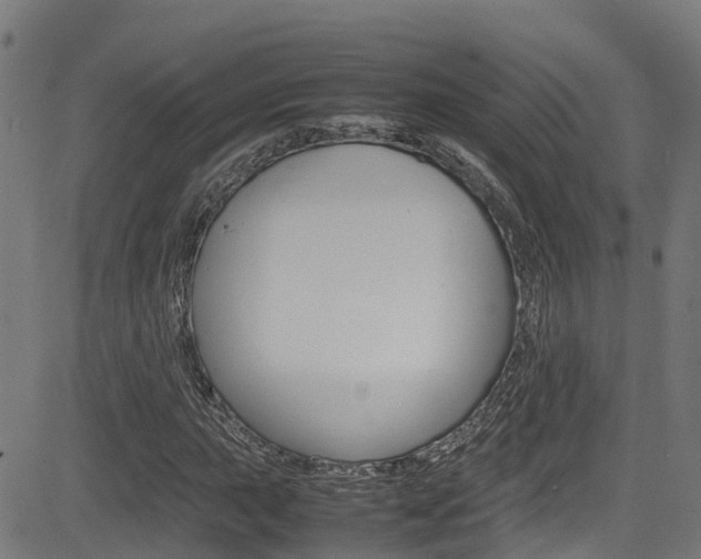 X0000083601015200702090901