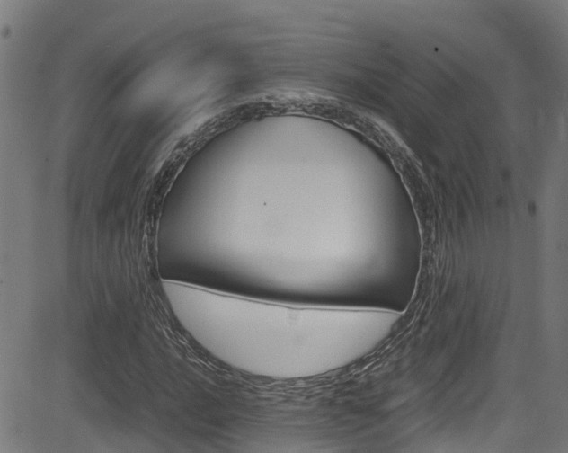 X0000083601016200702090901