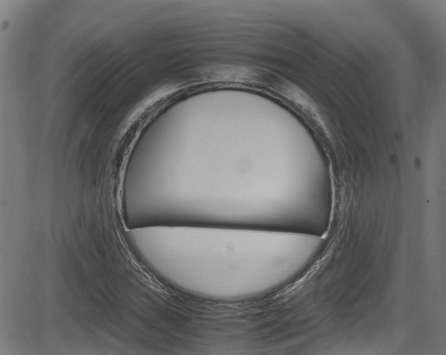 X0000083601019200702090901
