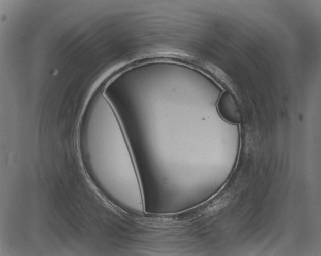 X0000083601024200702090901