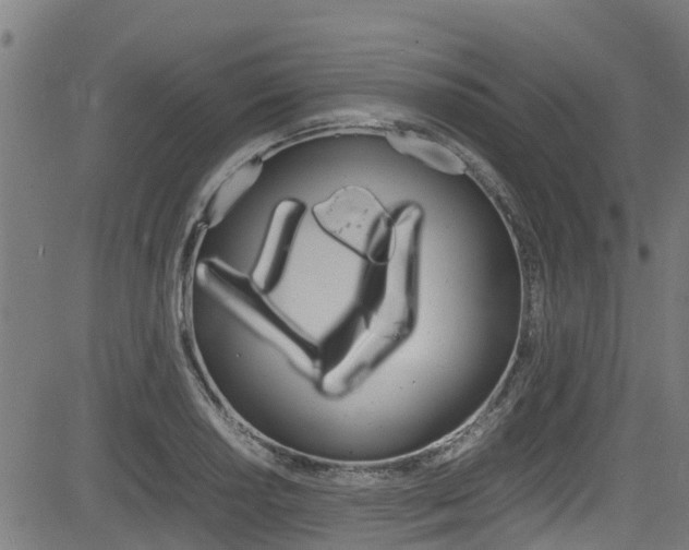 X0000083601034200702090901