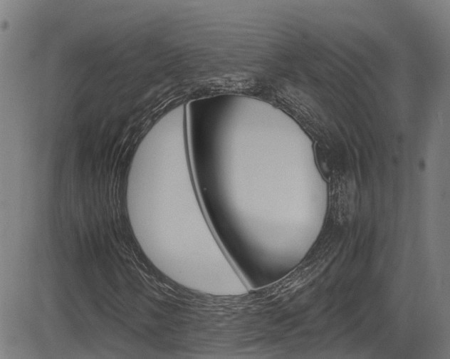 X0000083601058200702090901