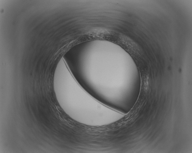 X0000083601060200702090901