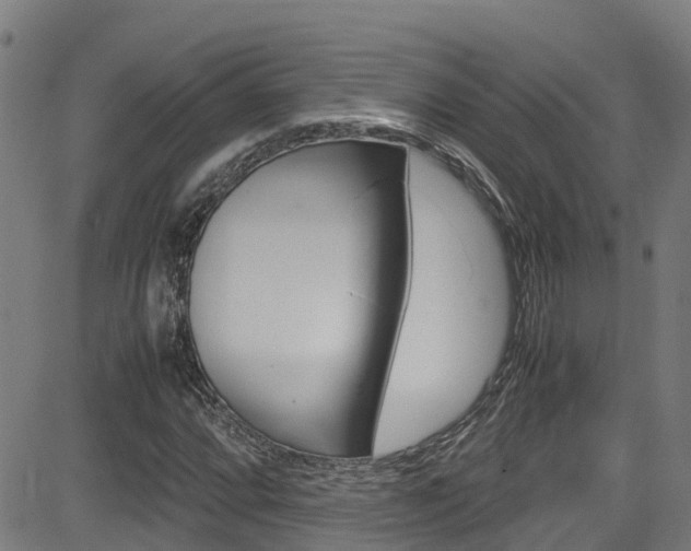 X0000083601064200702090901