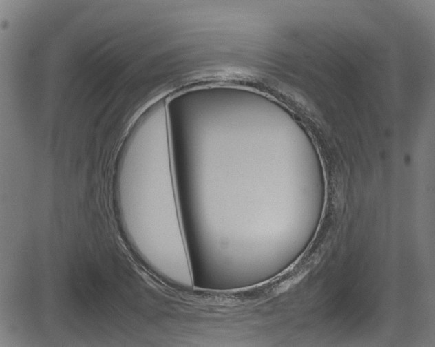 X0000083601073200702090901