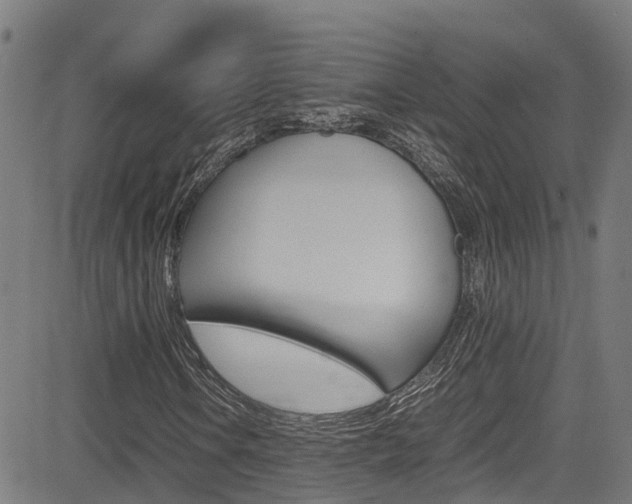 X0000083601106200702090859