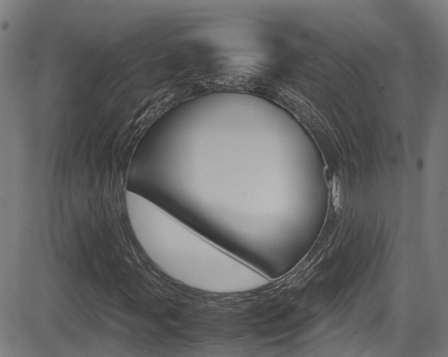 X0000083601107200702090859