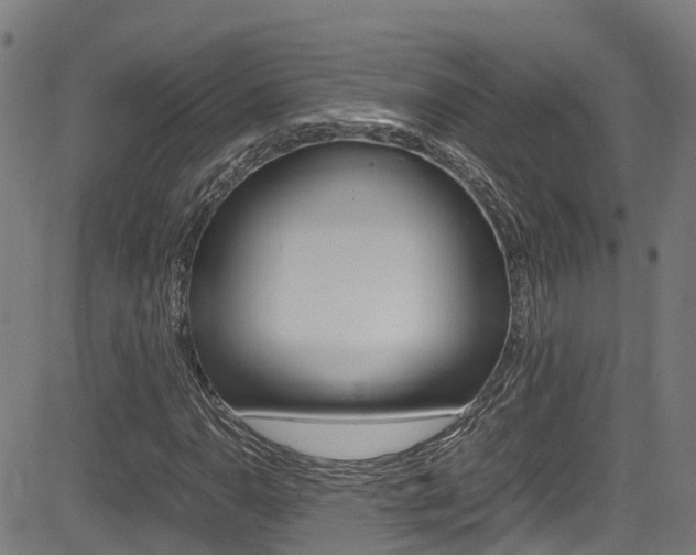X0000083601110200702090859