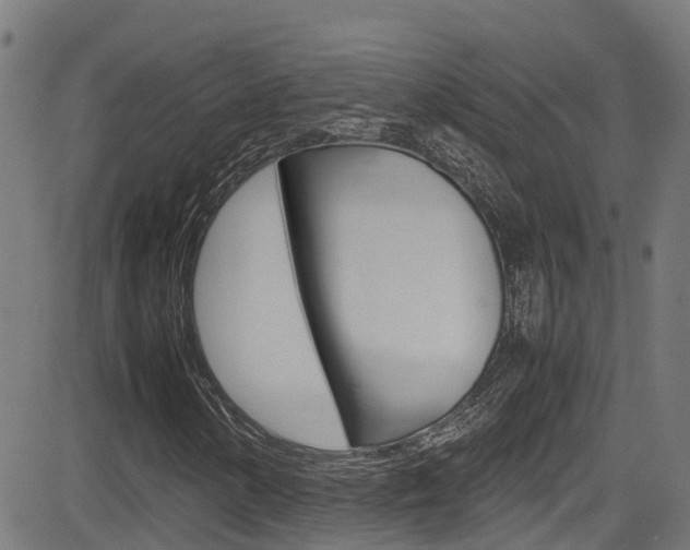 X0000083601154200702090859