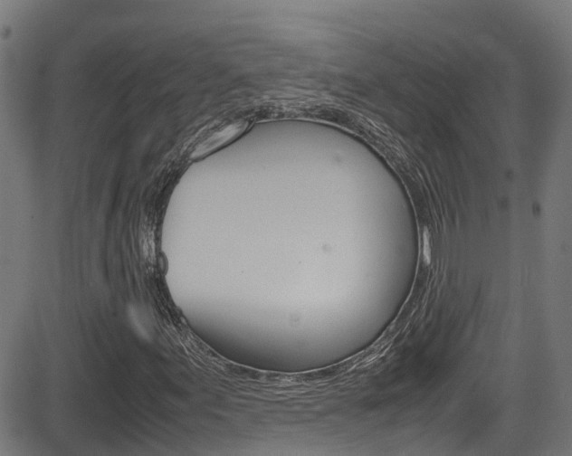 X0000083601155200702090859