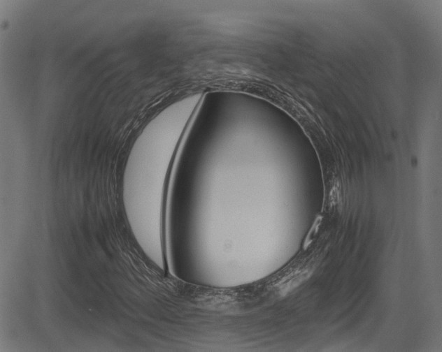 X0000083601156200702090859