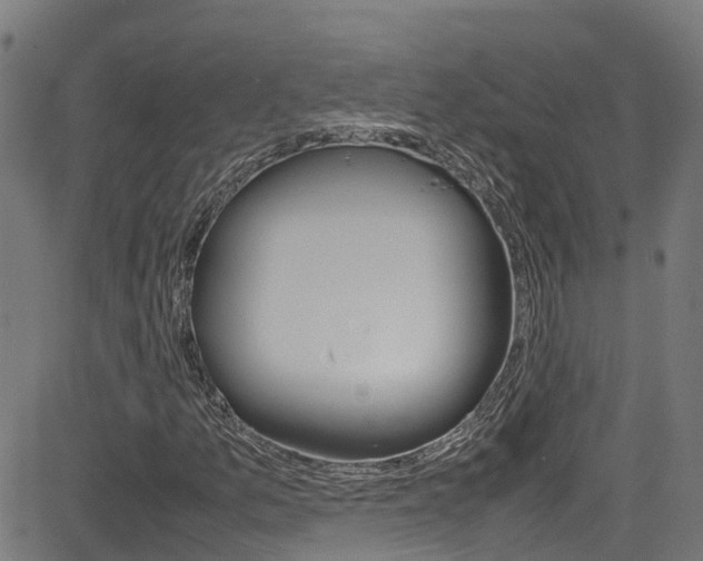 X0000083601157200702090859