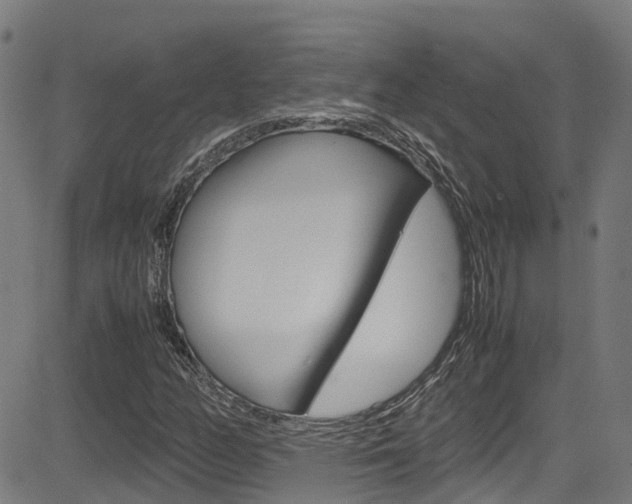 X0000083601158200702090859
