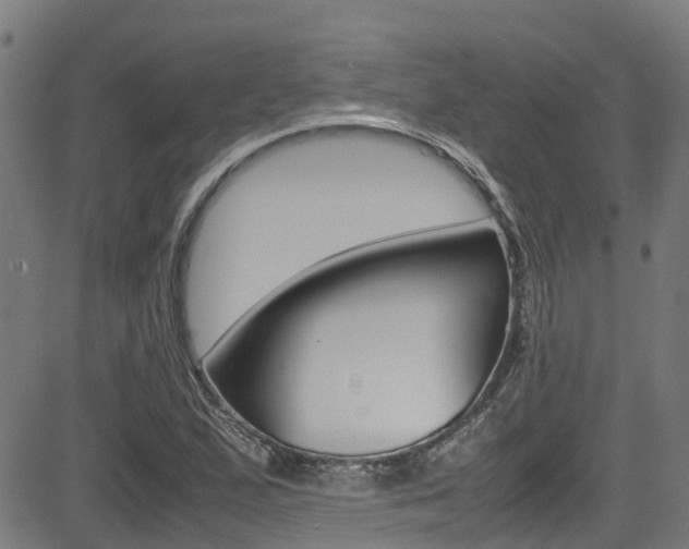 X0000083601167200702090859