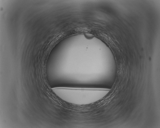 X0000083601201200702090858