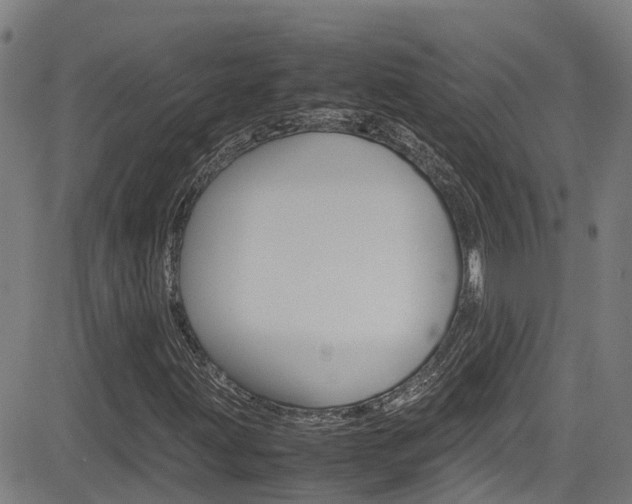 X0000083601203200702090858
