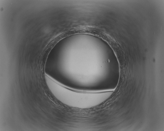 X0000083601206200702090858