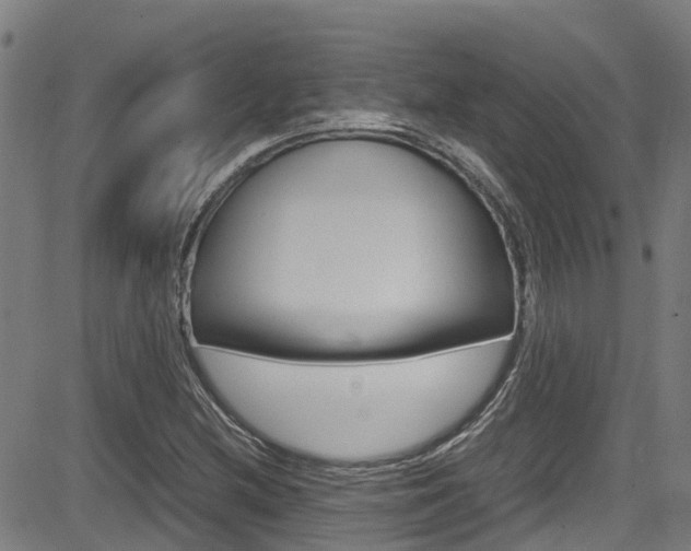X0000083601212200702090858