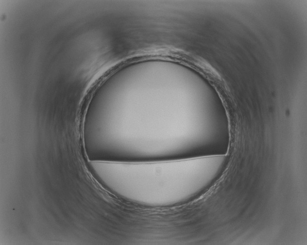 X0000083601216200702090858
