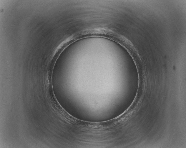 X0000083601218200702090858