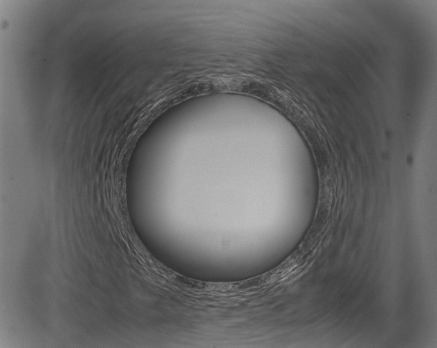 X0000083601249200702090858