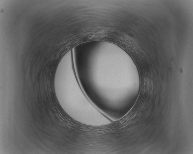 X0000083601250200702090858
